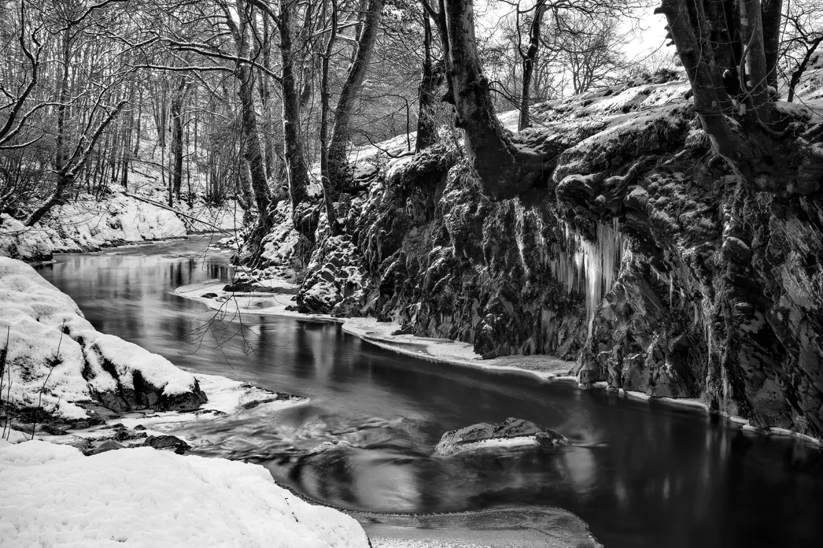 Nigel McCall Photography Nigel McCall Photography