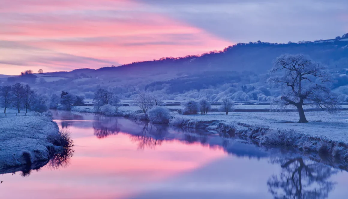 Nigel McCall Photography