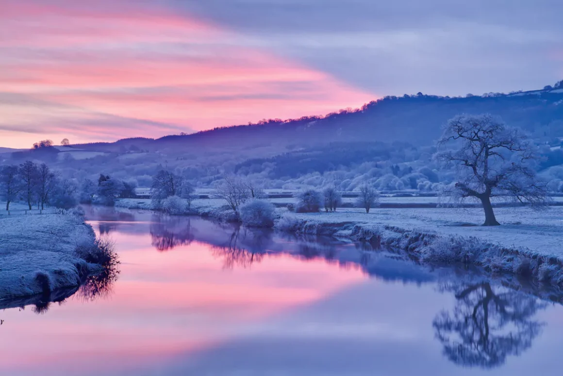Nigel McCall Photography