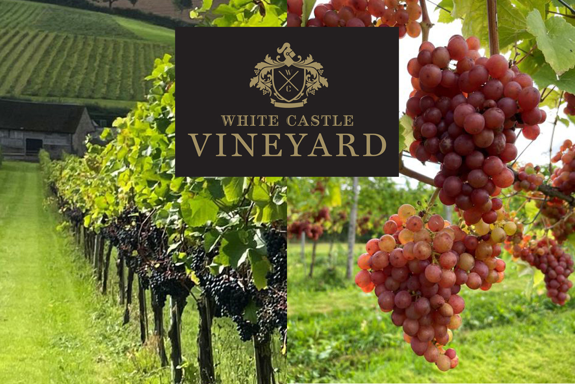 White Castle Vineyard