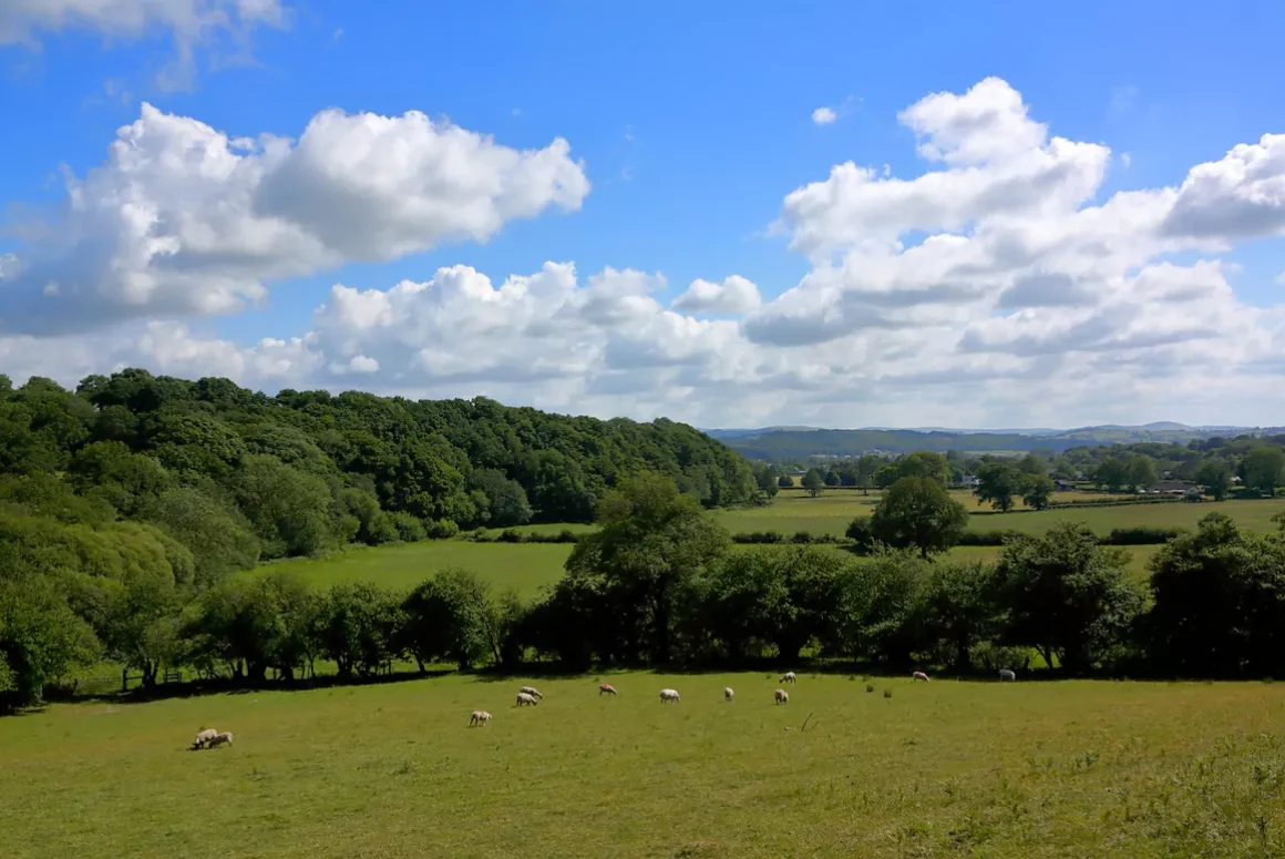 State of Nature Report Makes for ‘Grim Reading’ Says NFFN