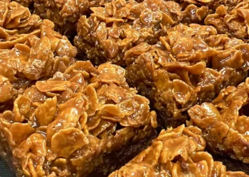 Cardigan Bay Brownies