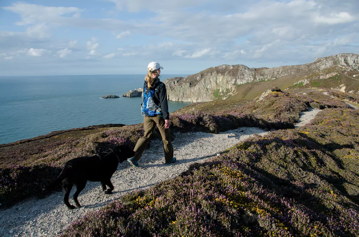 Holyhead Mountain & South Stack