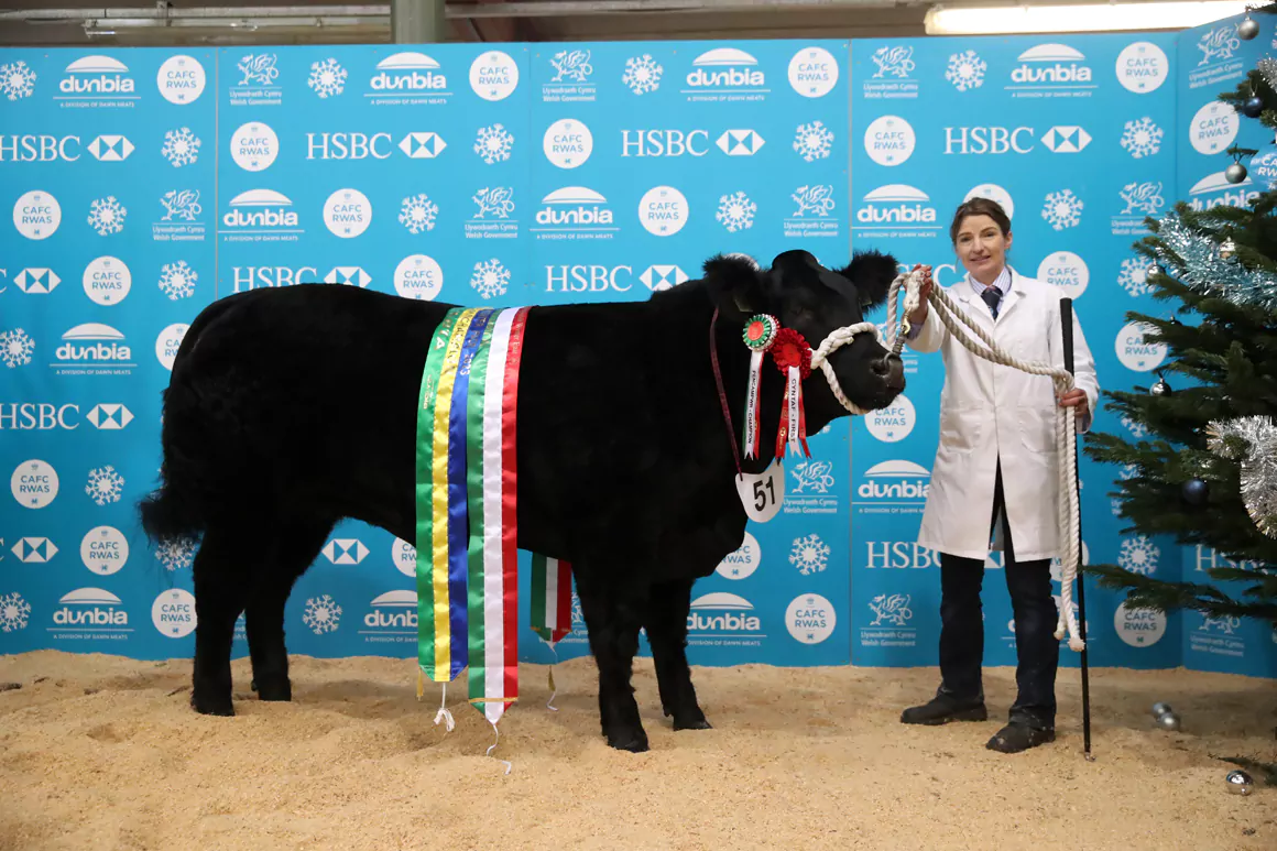 Thousands of Visitors Flock to Builth Wells for Royal Welsh Winter Fair