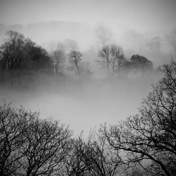 Neil Buckland - Tinman Photography