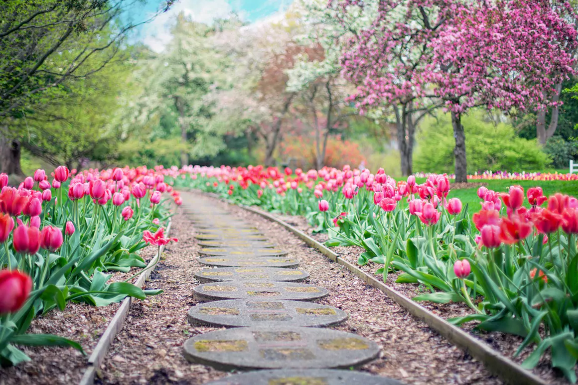 Revitalise Your Outdoor Space