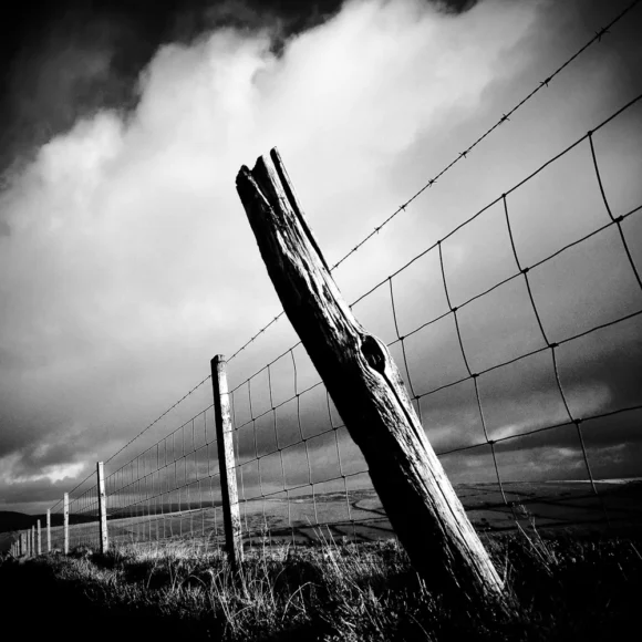 Neil Buckland - Tinman Photography