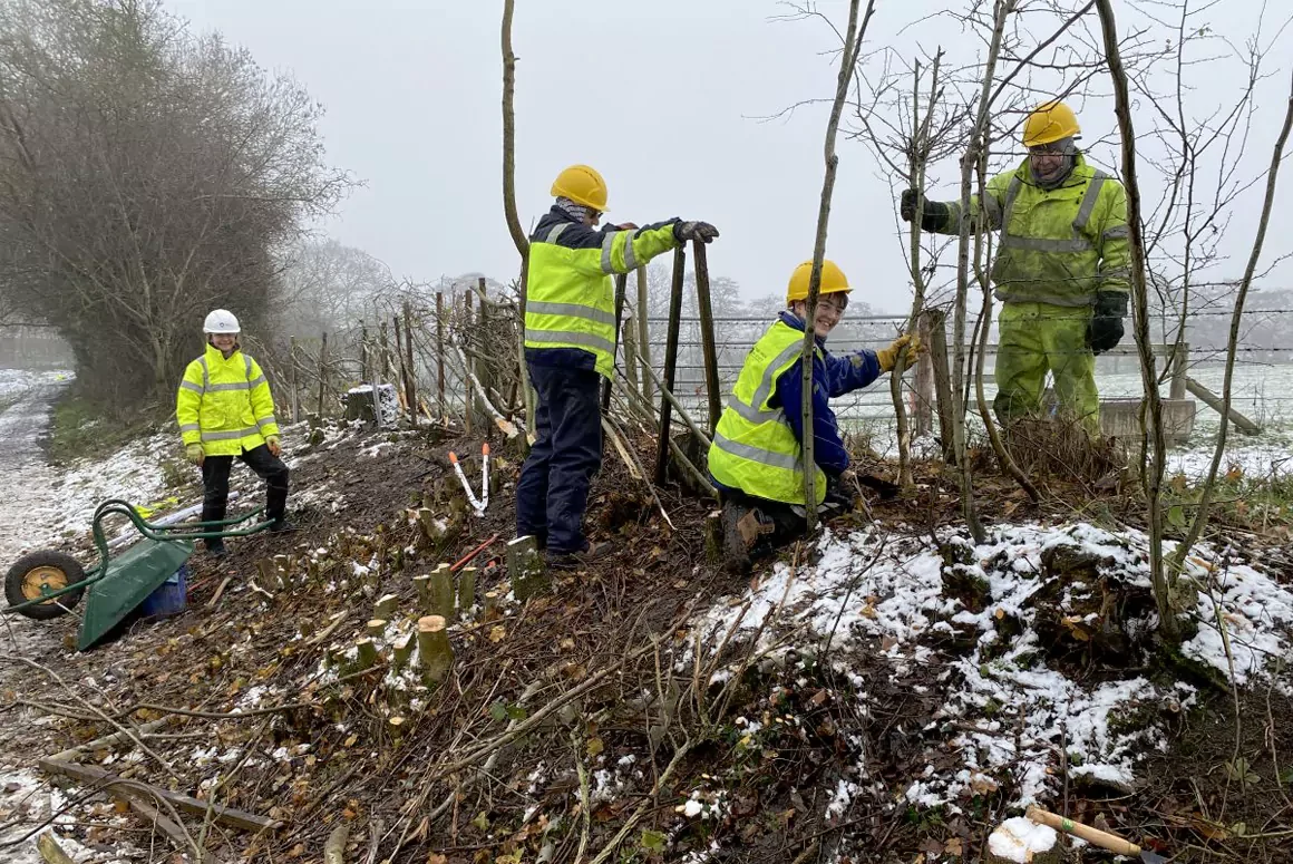 Montgomery Canal: Work Party Report Dec 23