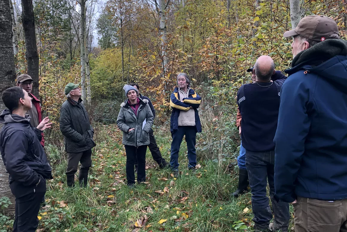Welsh Woodland Demonstrates How Trees Can be a Viable Option for Farmers