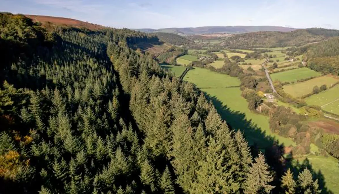 Hergest Croft Gardens has Third Tallest Tree in Great Britain