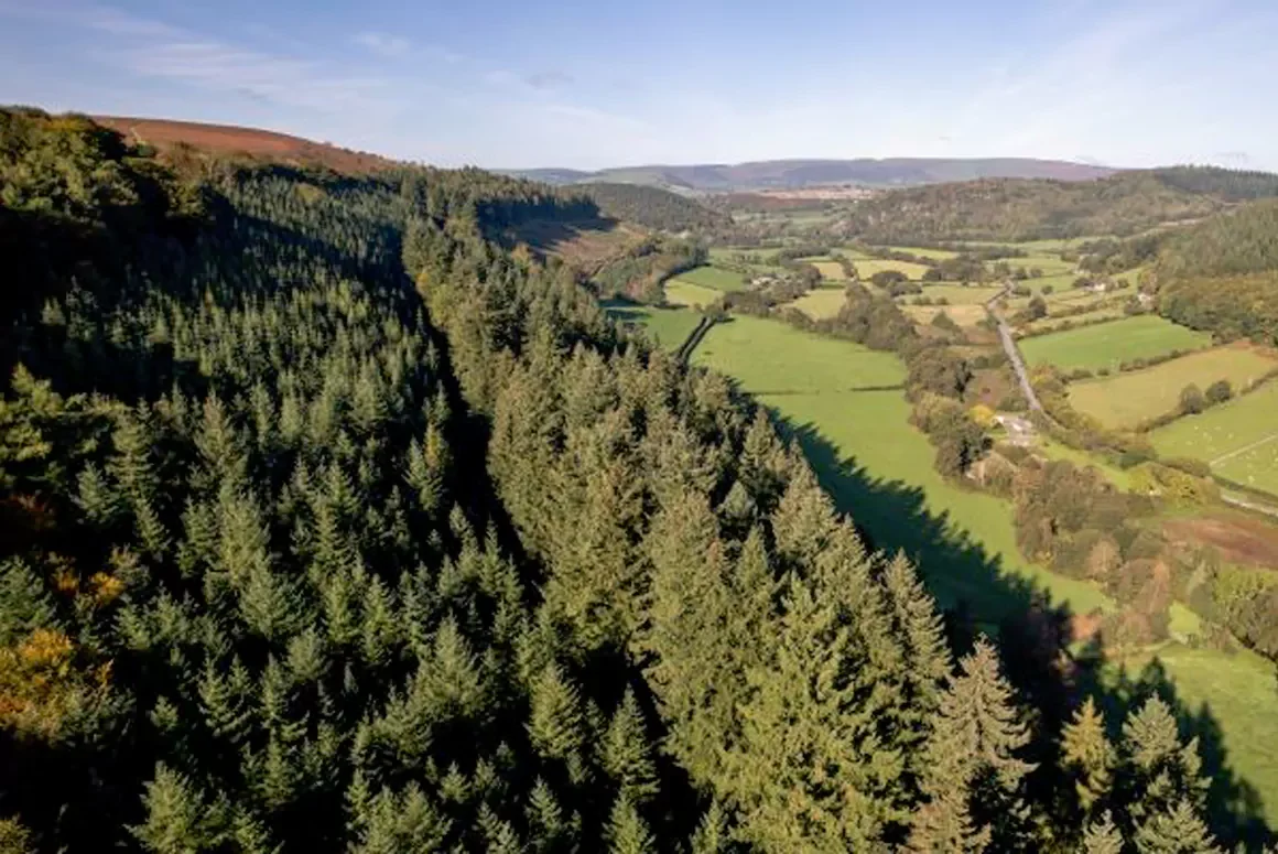 Hergest Croft Gardens has Third Tallest Tree in Great Britain