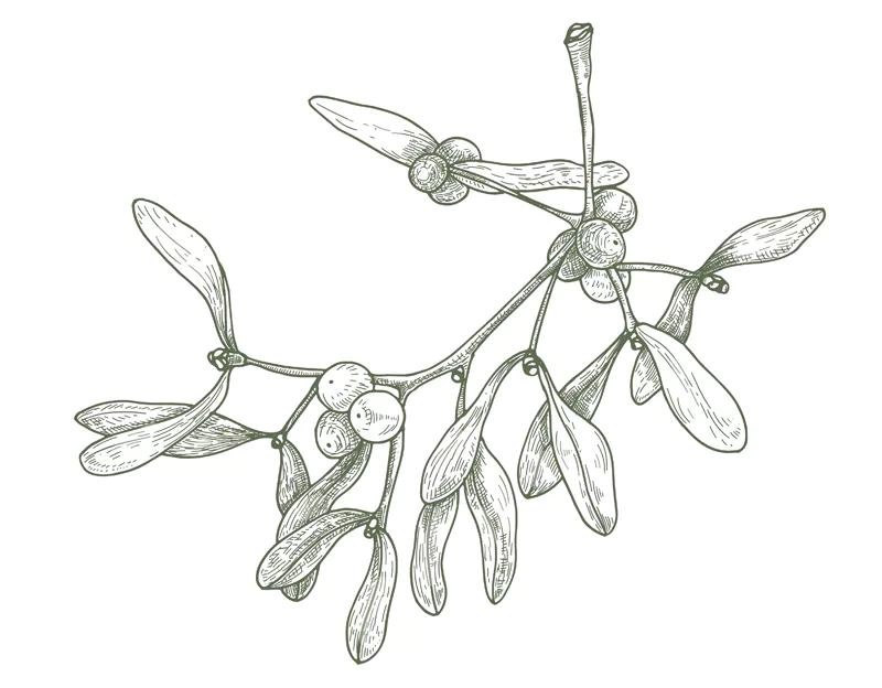 Christmas Traditions by Geoff Brookes - Mistletoe