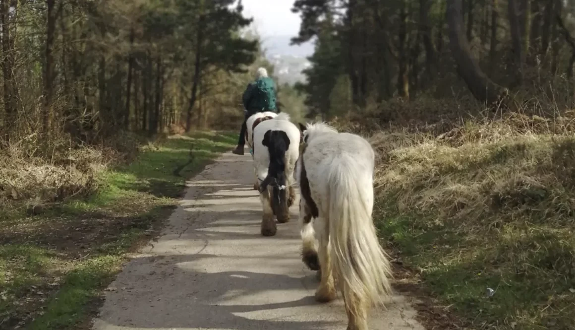 Kilvey Hill, Swansea