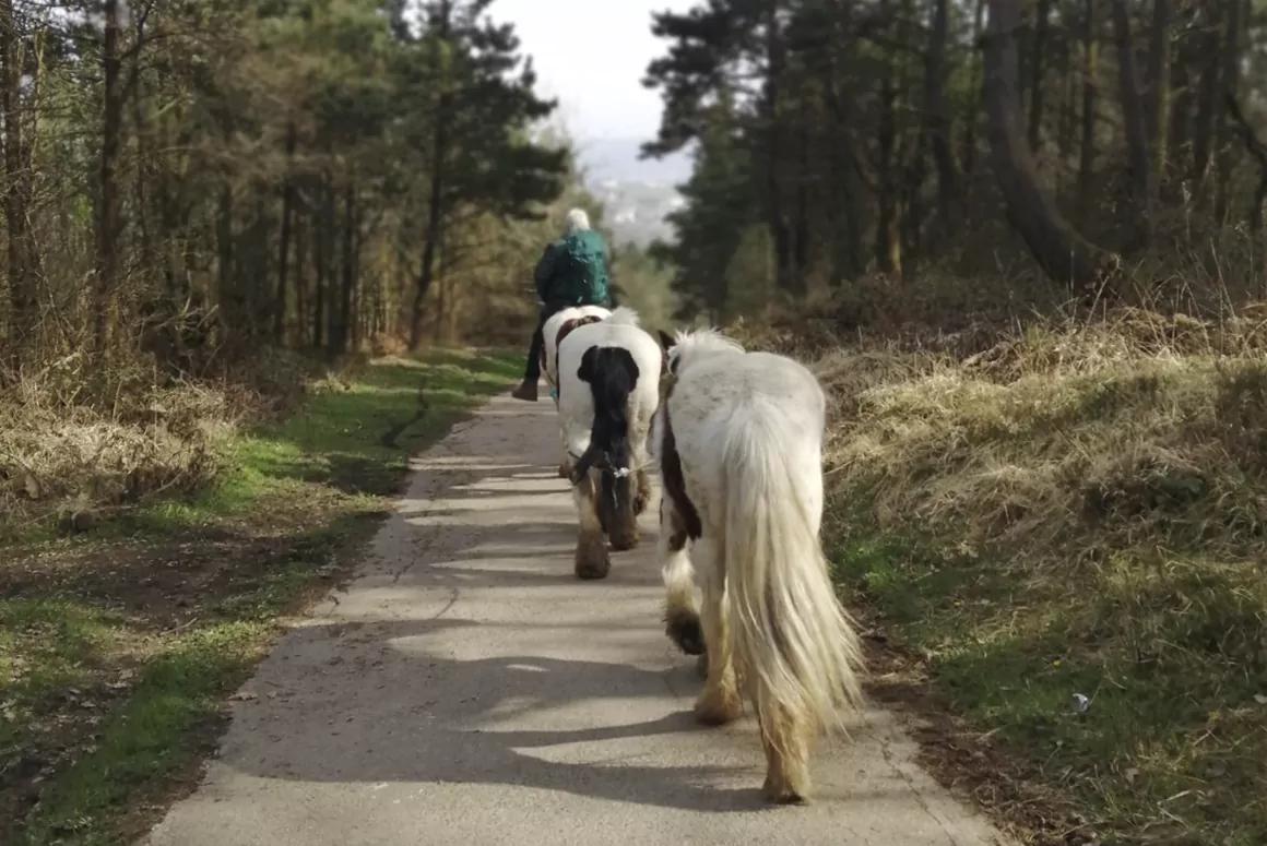 Kilvey Hill, Swansea