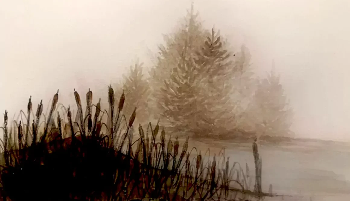 Christmas Light by Jane Griffiths-Jones