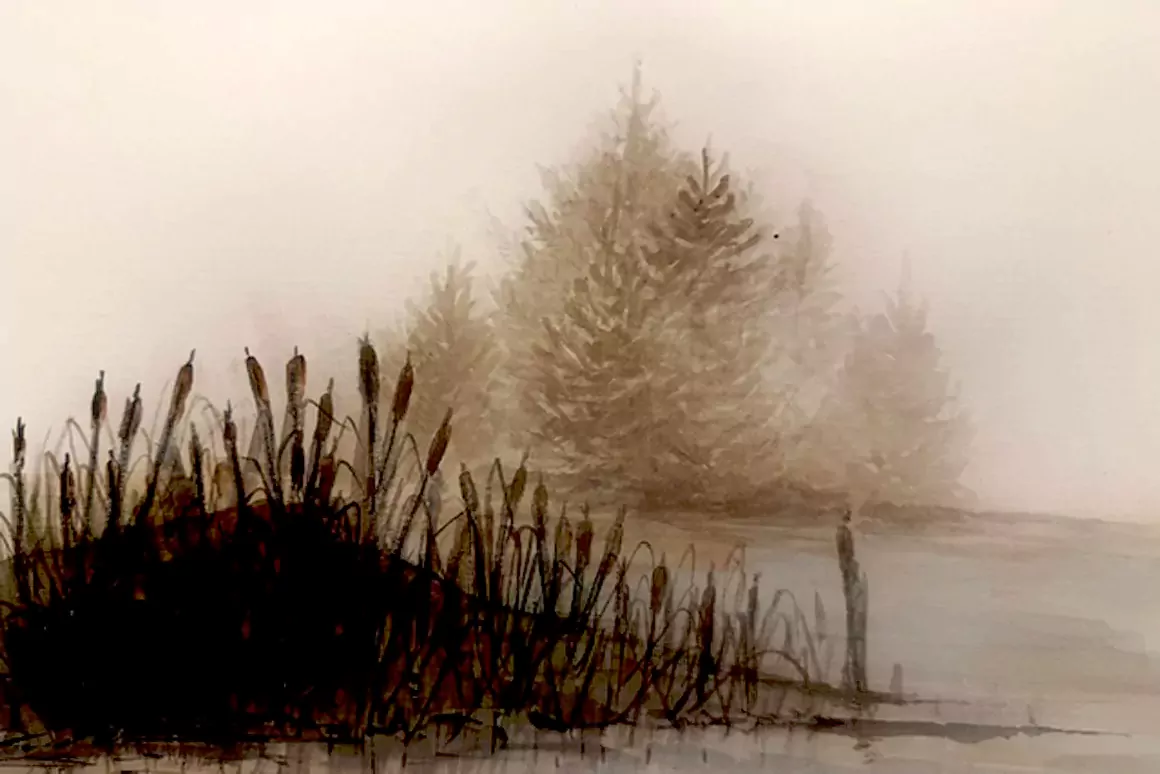 Christmas Light by Jane Griffiths-Jones