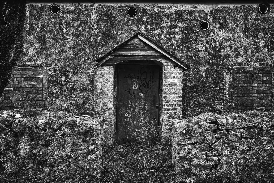 David Street Photography