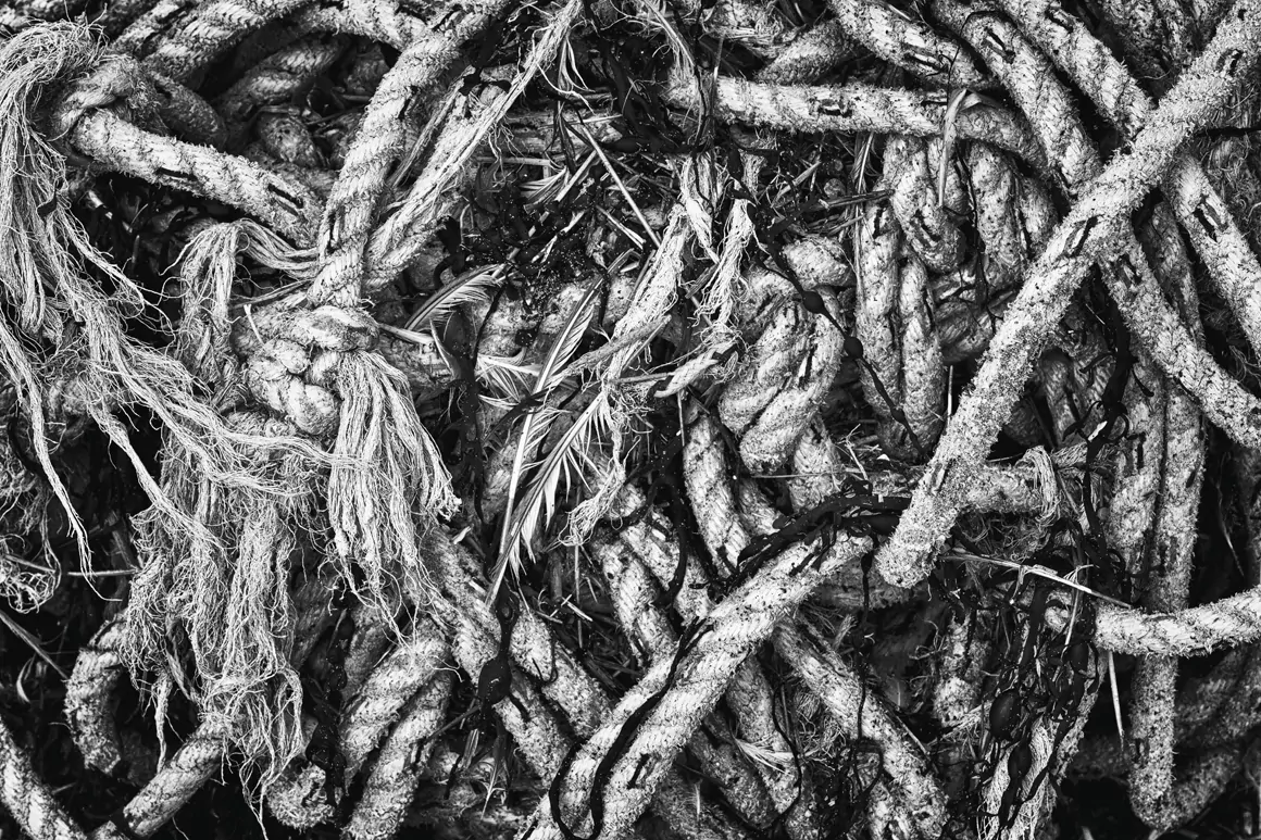 David Street Photography