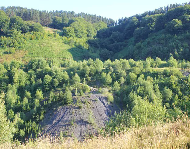 Torfaen Help to Create More Green Space with Two Projects Torfaen Help to Create More Green Space with Two Projects