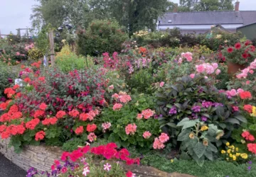 Eve's Garden