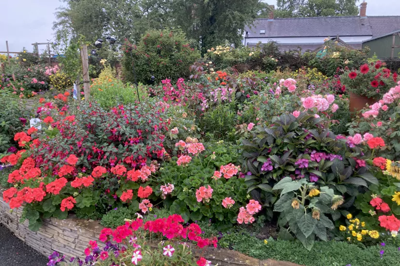 Eve's Garden