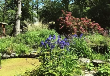 Forge Village Gardens