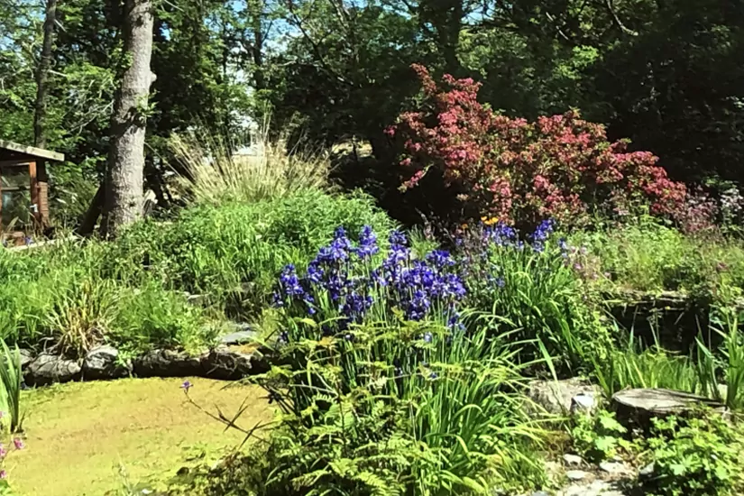 Forge Village Gardens