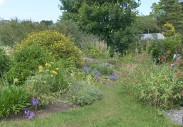 Llanddona Village Gardens
