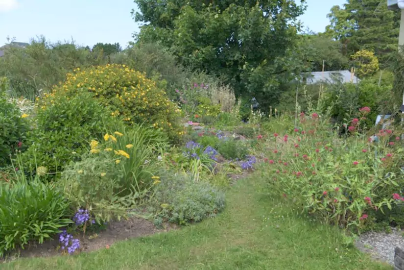Llanddona Village Gardens