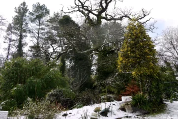 Llwyngarreg, Whitland