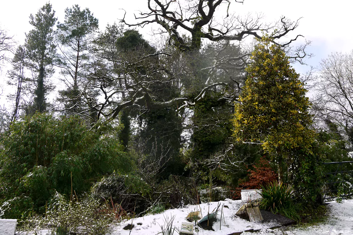 Llwyngarreg, Whitland
