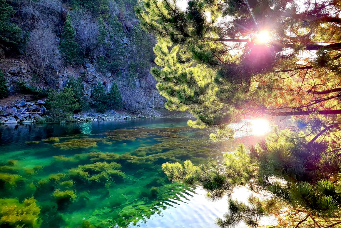 Adam Miles Photography