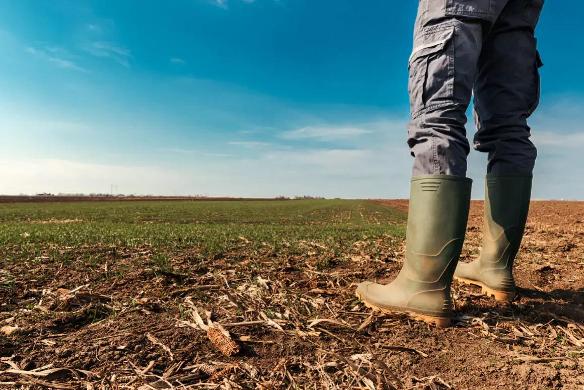 Welsh Farmers ‘Can’t Be Green if They Are in the Red’