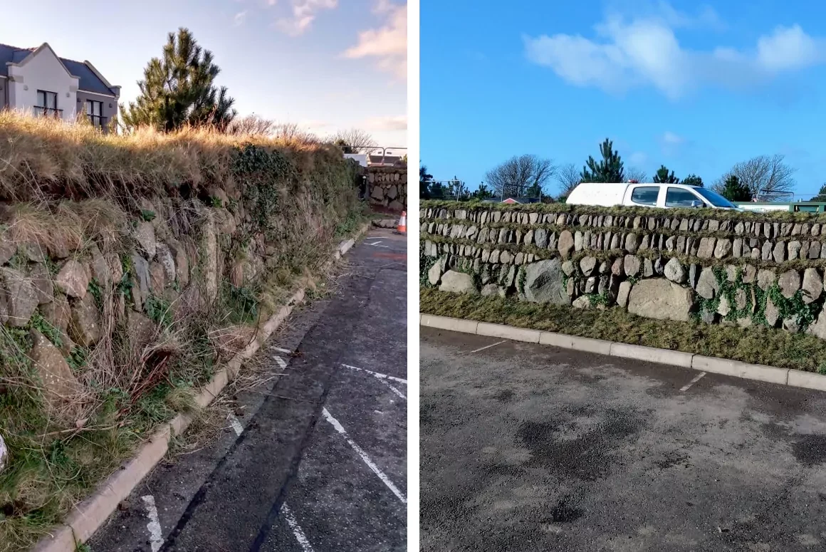 Pembrokeshire Hedgebank