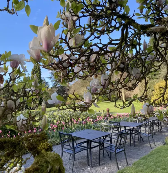 Hergest Croft Gardens