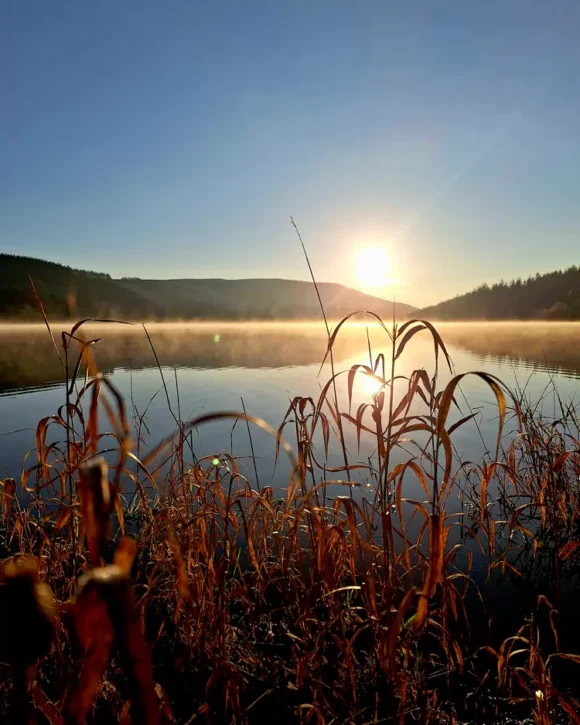 Adam Miles Photography