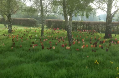 Longhouse Farm