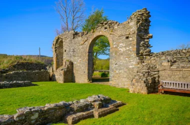 Strata Florida – Vale of Flowers