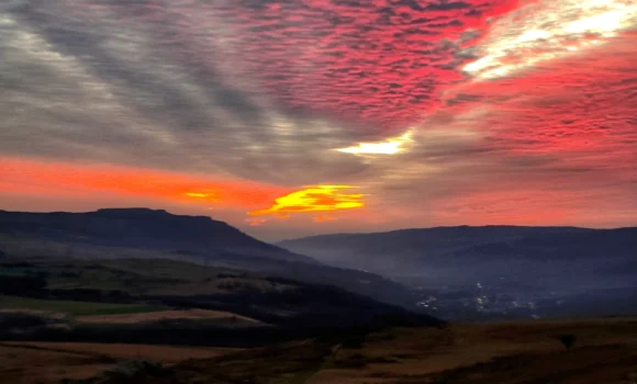 Adam Miles Photography