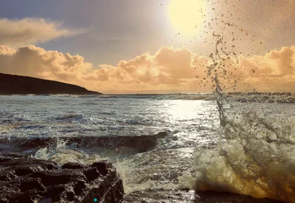 Adam Miles Photography