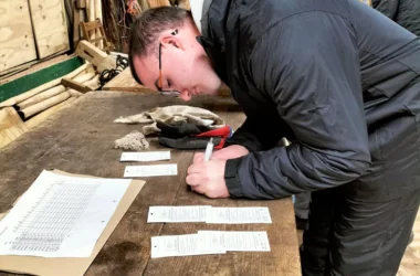 Woodland Skills Centre