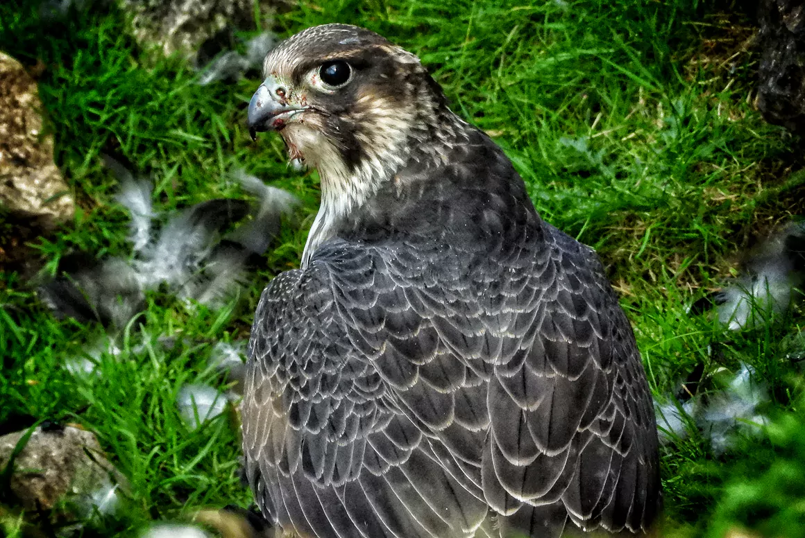 Adam Miles Photography