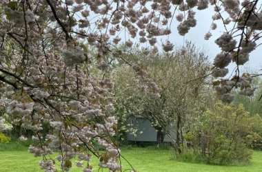 Swallow Barns