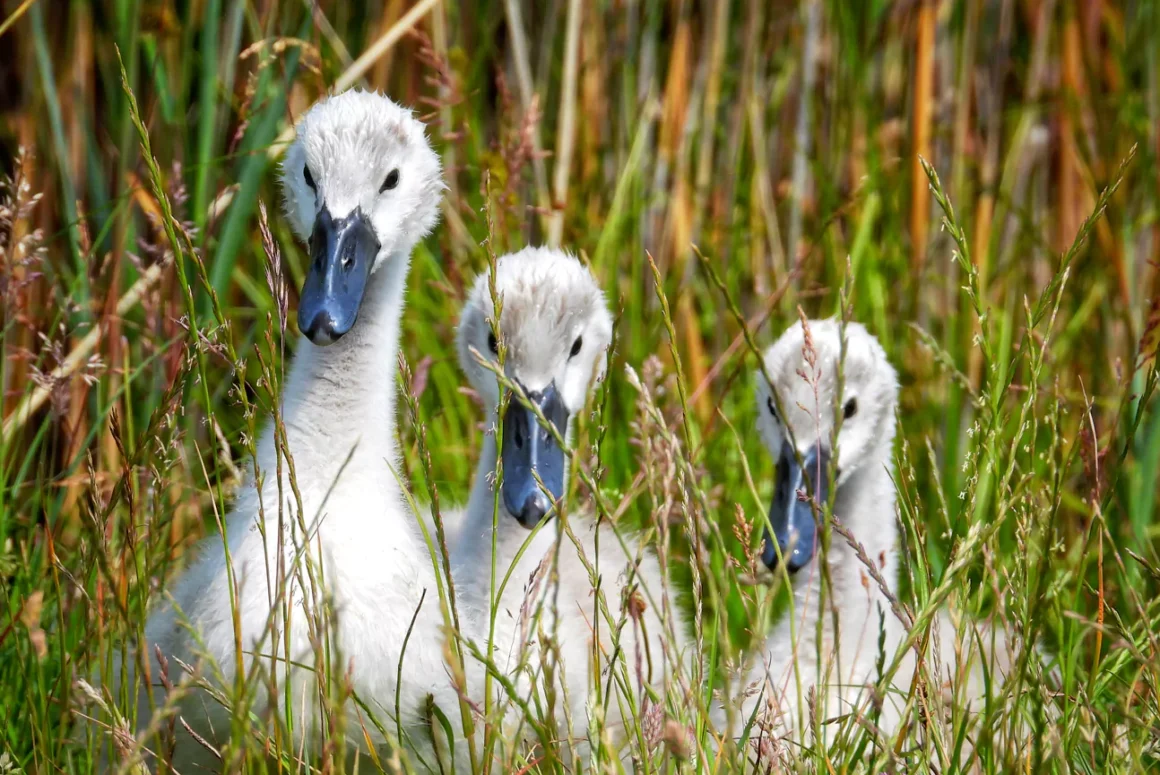 Adam Miles Photography