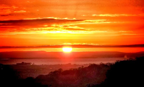 Adam Miles Photography