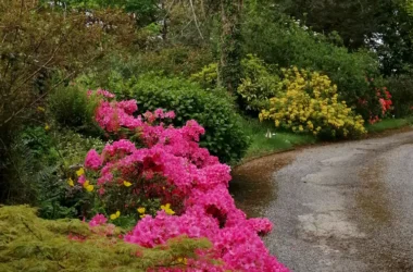 Treffgarne Hall