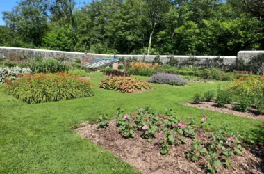 Scolton Manor Park