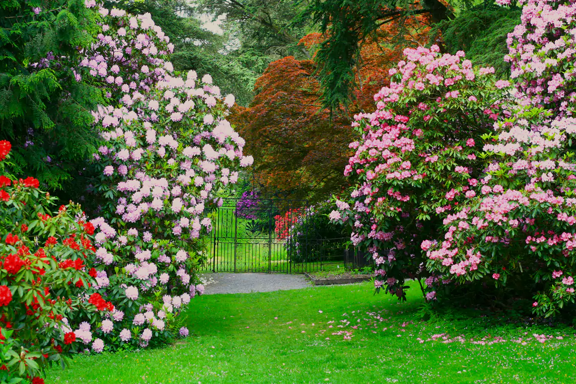 Hergest Croft Gardens