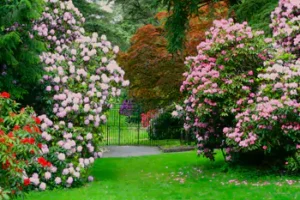 Hergest Croft Gardens