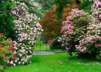Hergest Croft Gardens